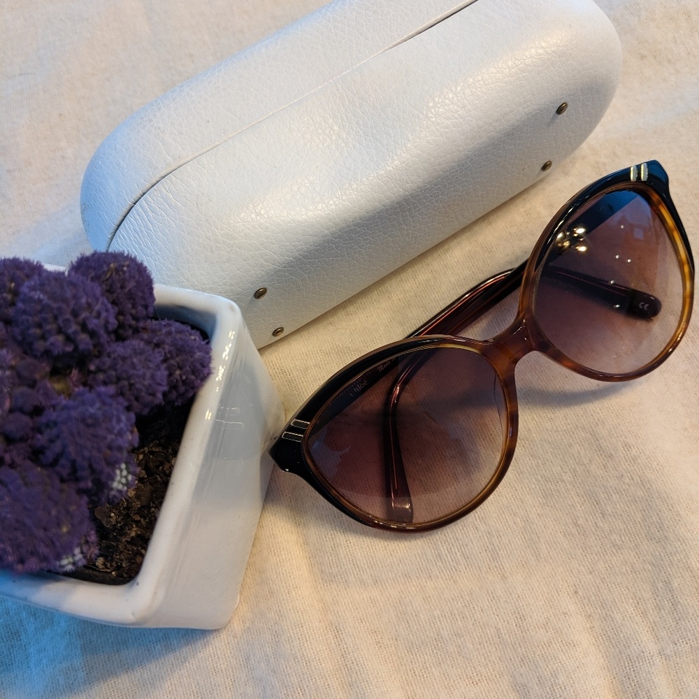 Chloe Red/Brown Gradient Cl 2200 Sunglasses - Picture 10 of 12